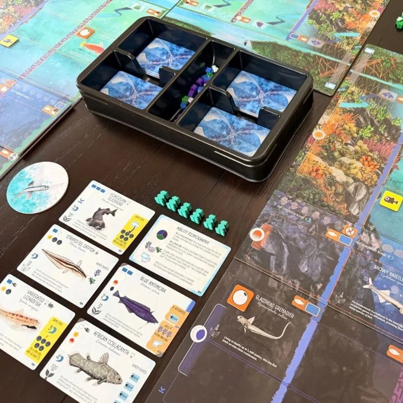 Finspan - Sharks & Reefs Expansion