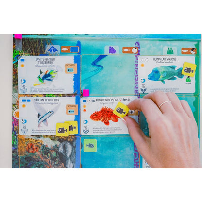 Finspan (A Wingspan Game)