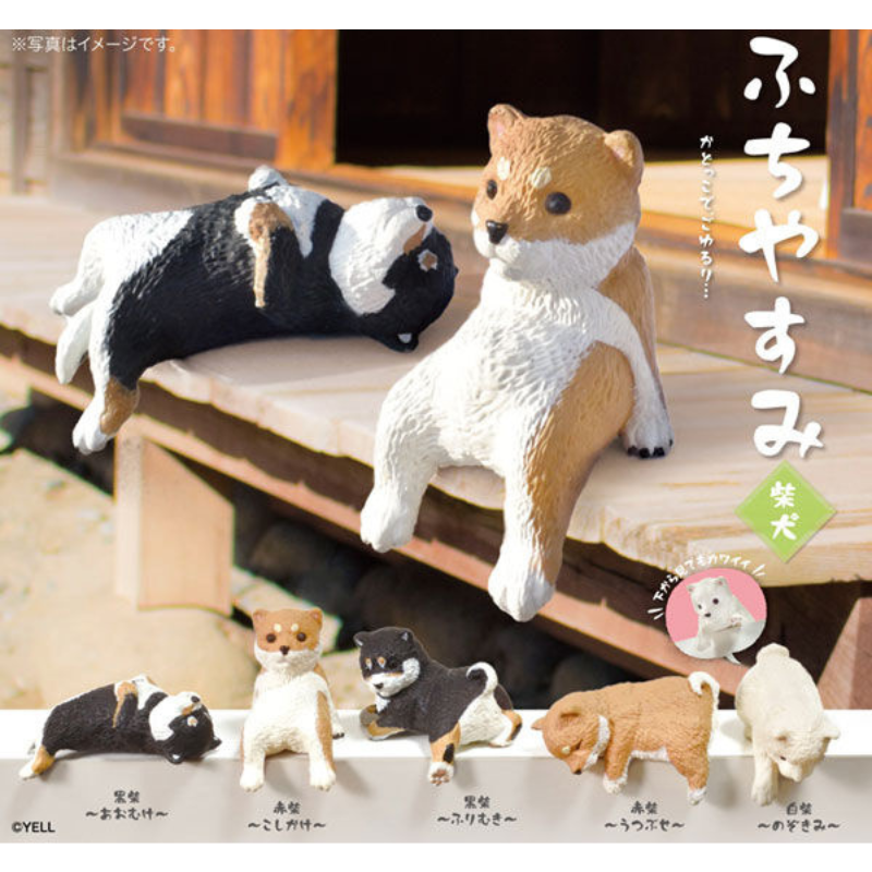 Shiba Inu (dogs) Resting On The Edge Blind Box (1 Unit)