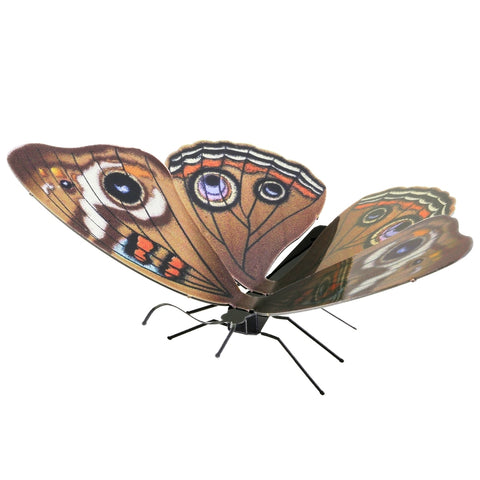 Image of Metal Earth Butterfly Buckeye